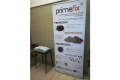 PrimeFix